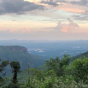 Meet your Posher, Steph